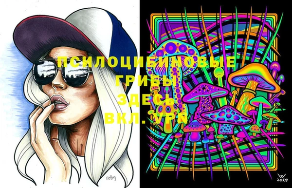 прущая мука Покачи
