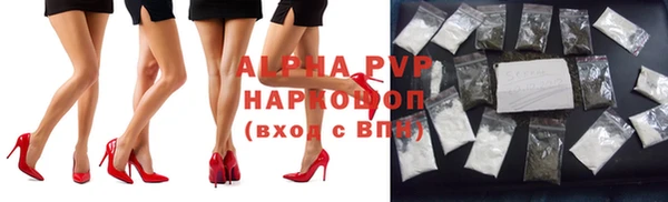 ГАЛЛЮЦИНОГЕННЫЕ ГРИБЫ Гвардейск