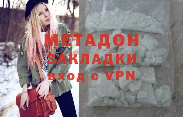 прущие грибы Гатчина