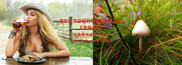 a pvp Покров
