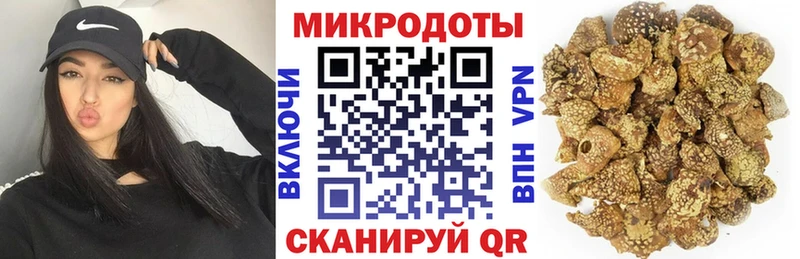 Псилоцибиновые грибы Psilocybe  Сафоново 