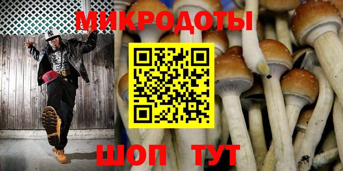Псилоцибиновые грибы Cubensis  Вход с VPN  Сафоново 
