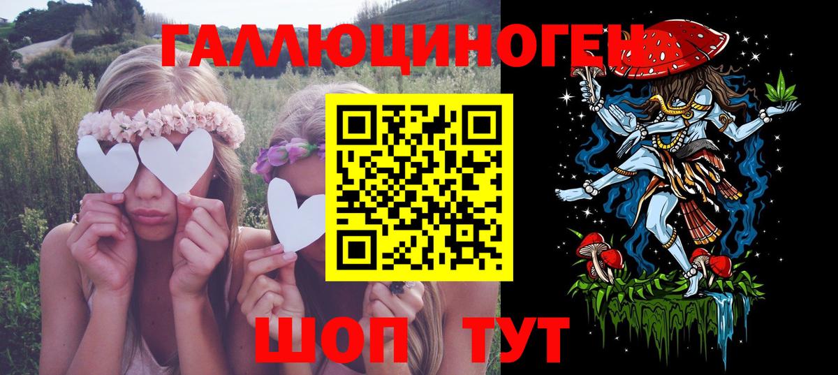 Псилоцибиновые грибы Psilocybe Сафоново